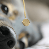 Nasenabdruck Kette - Erinnerung Hund / Katze - Runder Anhänger 14kt. vergoldet