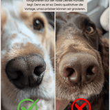 Andenken an verstorbenen Hund / Katze - Nasen- & Fingerabdruck Kette - Runder Anhänger